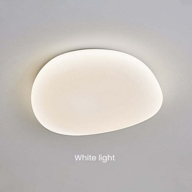 Flush Mount Ceiling Light