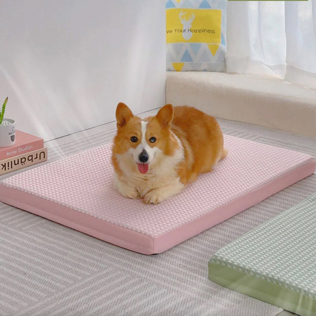 Arctic Breeze Cooling Dog Bed Ice Silk Orthopedic Washable