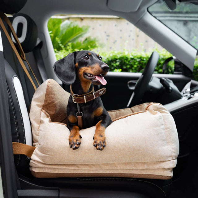 Premium Pet Car Seat – Secure, Comfortable, and All-Season Design