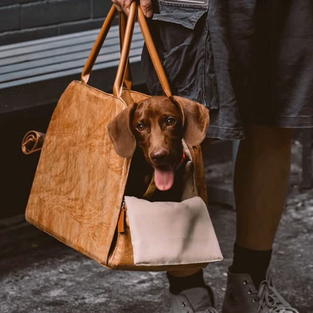 Portable Pet Travel Bag – Lightweight, Breathable & Secure for Small Pets