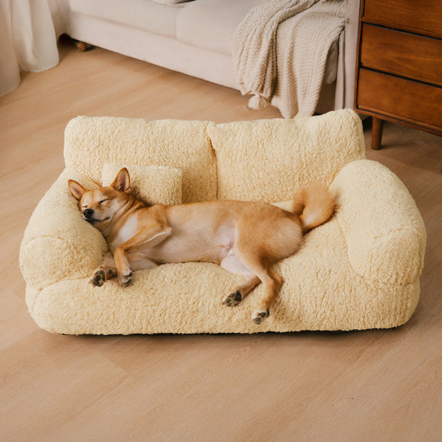 Ultra-Soft Bolster Dog Bed for All-Day Comfort and Support