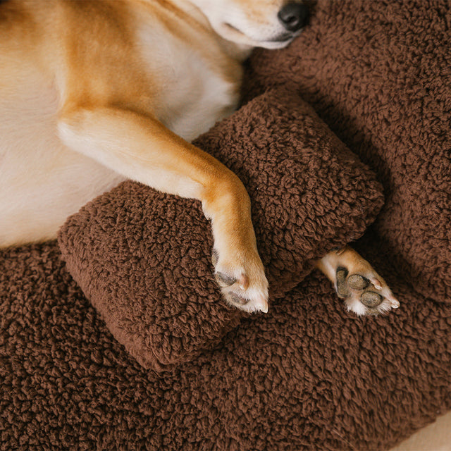 Ultra-Soft Bolster Dog Bed for All-Day Comfort and Support