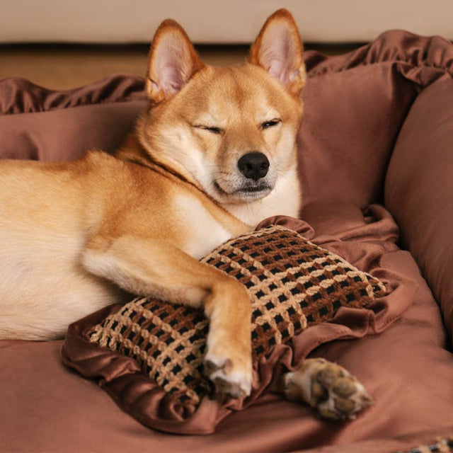 Bliss Bolster Orthopedic Dog Bed Velvet Foam Supportive Design