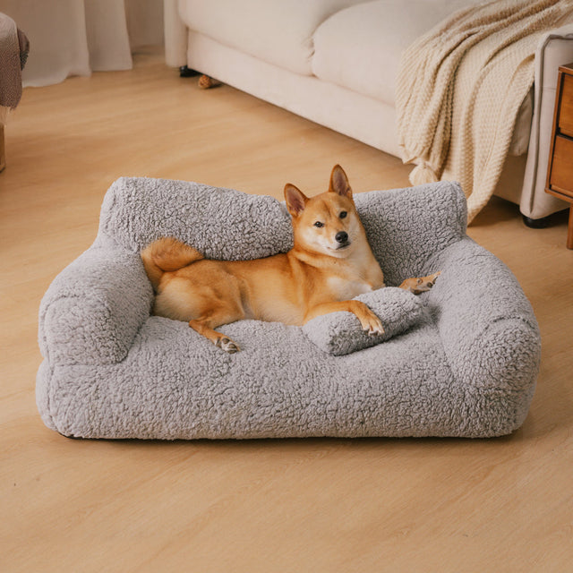 Ultra-Soft Bolster Dog Bed for All-Day Comfort and Support