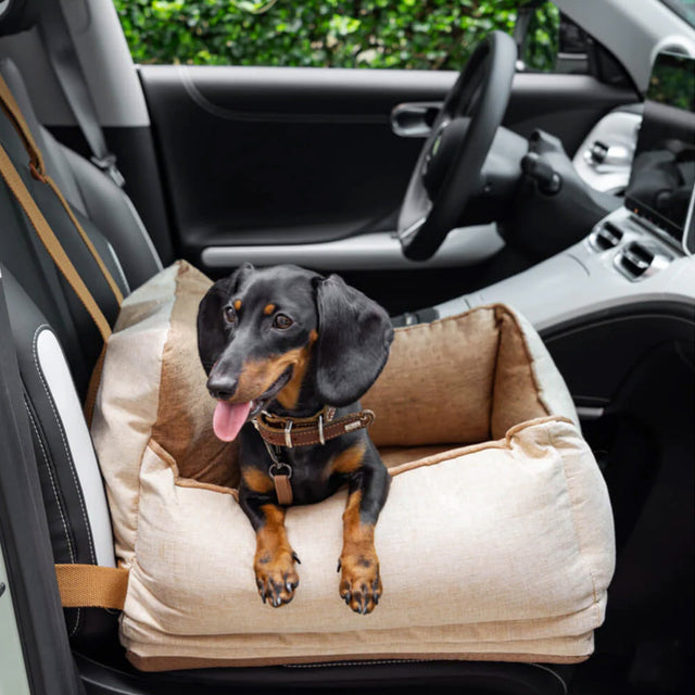 Premium Pet Car Seat – Secure, Comfortable, and All-Season Design