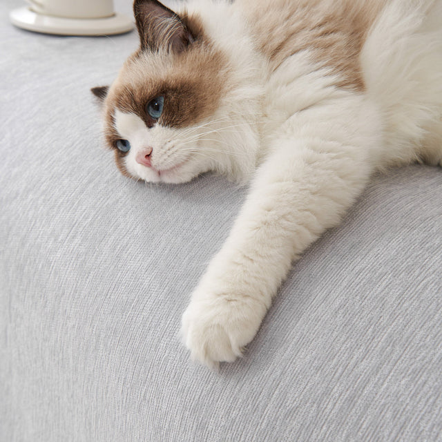 Pure Embrace Sofa Cover - Modern, Stylish & Durable Sofa Protection