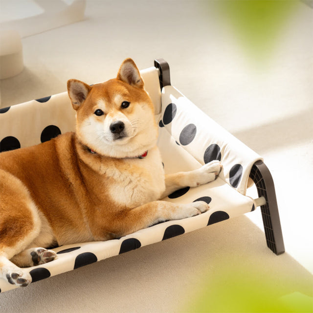 Polka Dot Frosted Suede Summer Cool Dog Bed Stylish Breathable