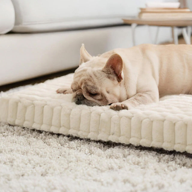 Faux Rabbit Fur Orthopedic Pet Bed Ultra Soft Warm Supportive