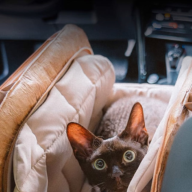 Portable Pet Travel Bag – Lightweight, Breathable & Secure for Small Pets