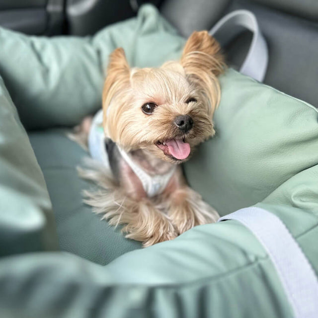 Waterproof Dog Car Seat – Secure, Spacious, and Travel-Friendly
