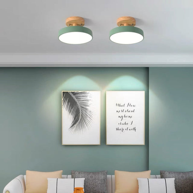 Colorful Semi-flush LED Ceiling Lights 10