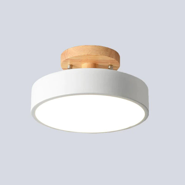 Colorful Semi-flush LED Ceiling Lights 3