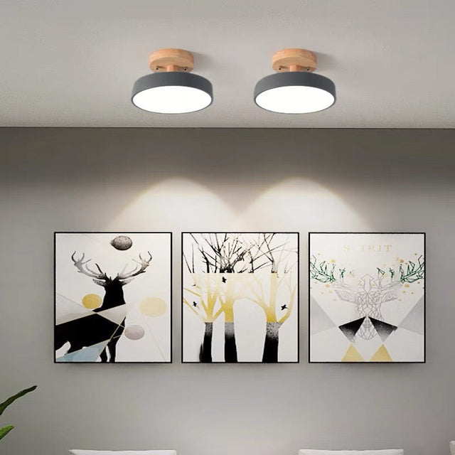 Colorful Semi-flush LED Ceiling Lights 8