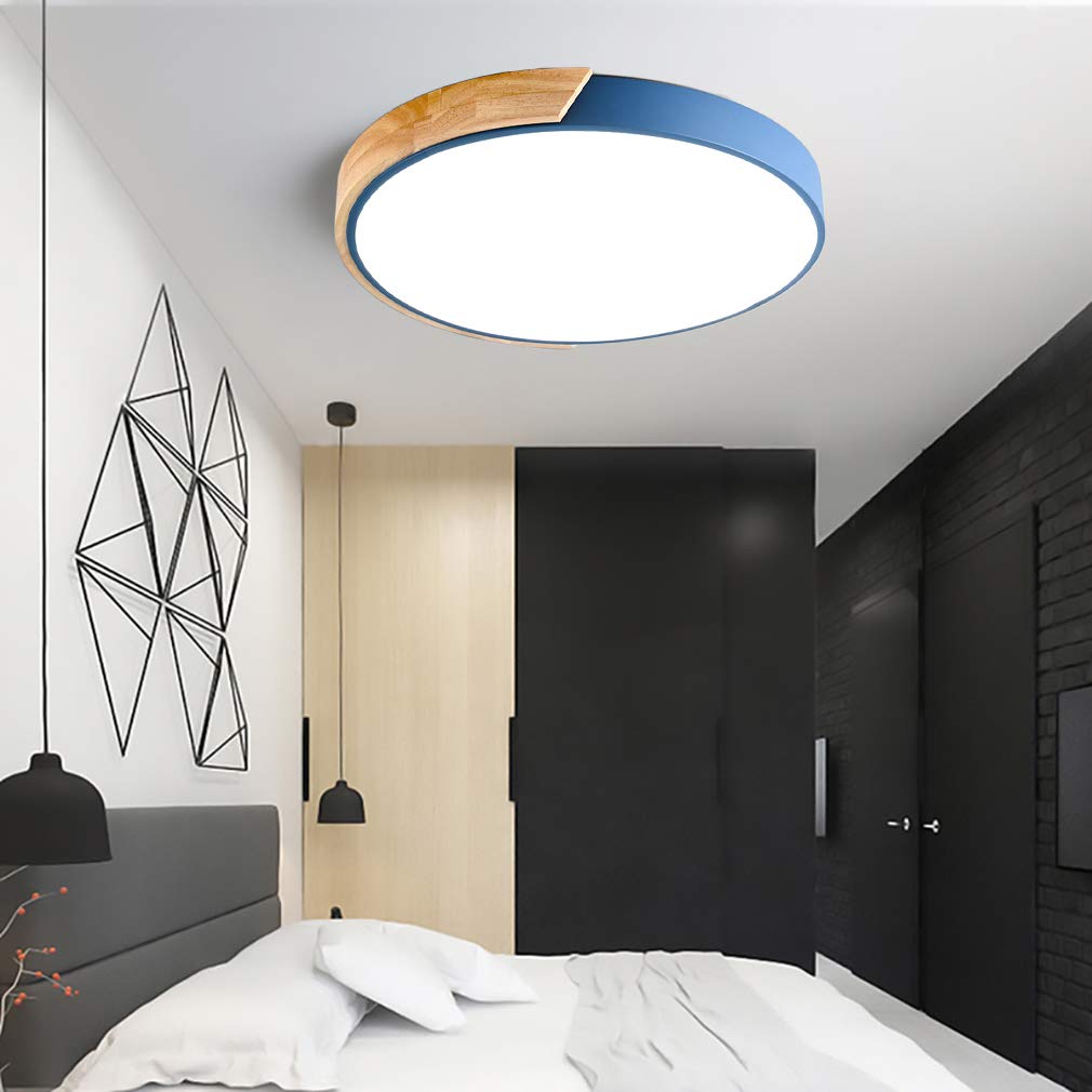 Colorful Simple LED Round Ceiling Lights 1