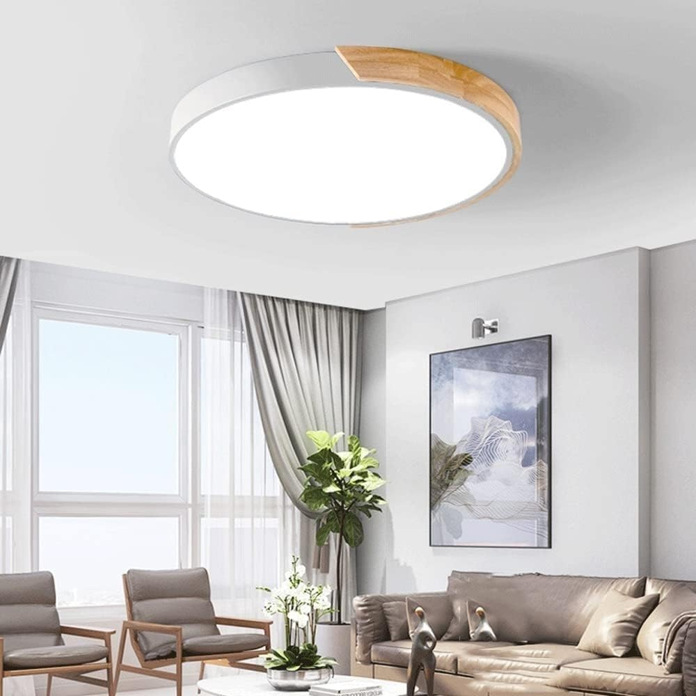 Colorful Simple LED Round Ceiling Lights 14