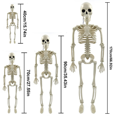 Full-Size Halloween Skeleton Decoration with Movable Joints – Realistic Life Size Skeleton for Halloween Decor and Haunted Houses 5