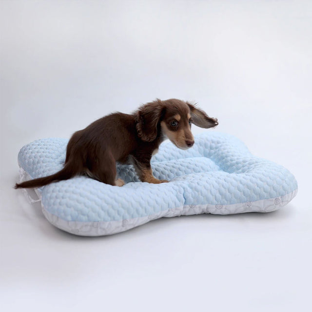 Lightweight Cooling Dog Bed with Breathable Design and Support