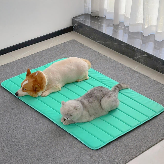 Durable Waterproof Pet Mat Extra Large Non-Slip Easy to Clean