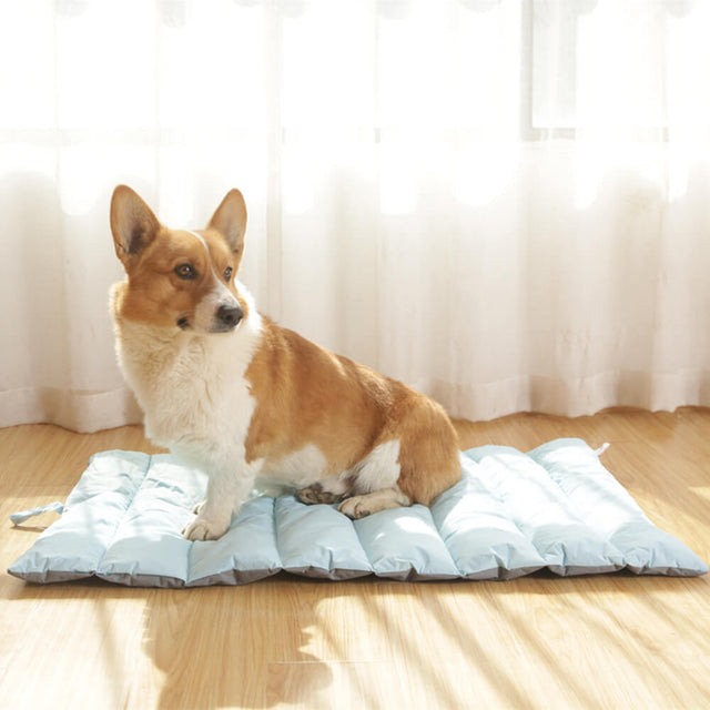 Foldable Waterproof Outdoor Dog Mat Durable Travel Friendly