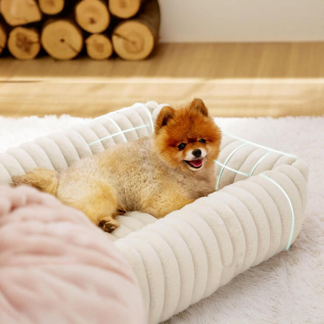 Bolstered Orthopedic Pet Bed Warm Supportive Cozy Foam