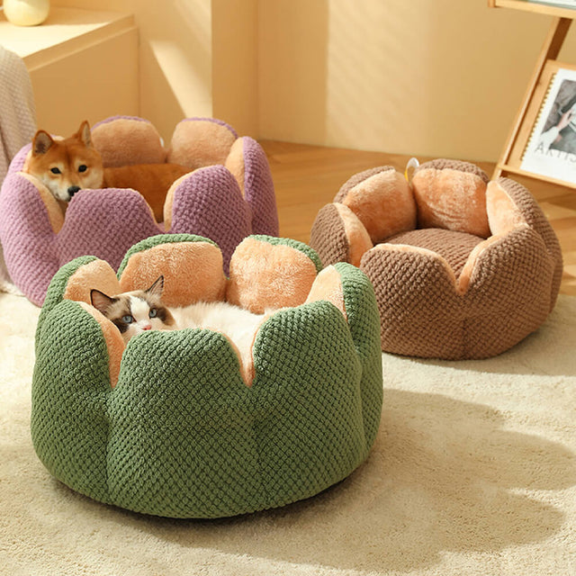 Cactus Shape Comfy Pet Bed Soft Coral Velvet Design