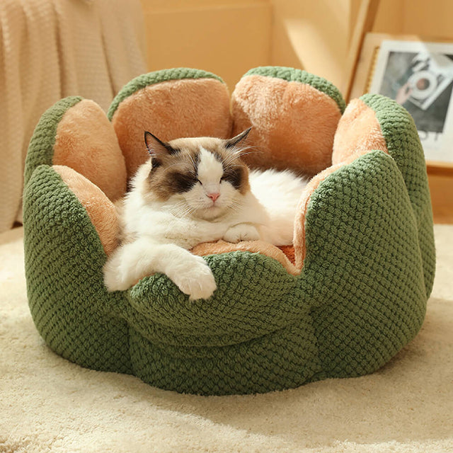 Cactus Shape Comfy Pet Bed Soft Coral Velvet Design