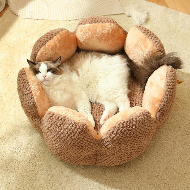 Cactus Shape Comfy Pet Bed Soft Coral Velvet Design