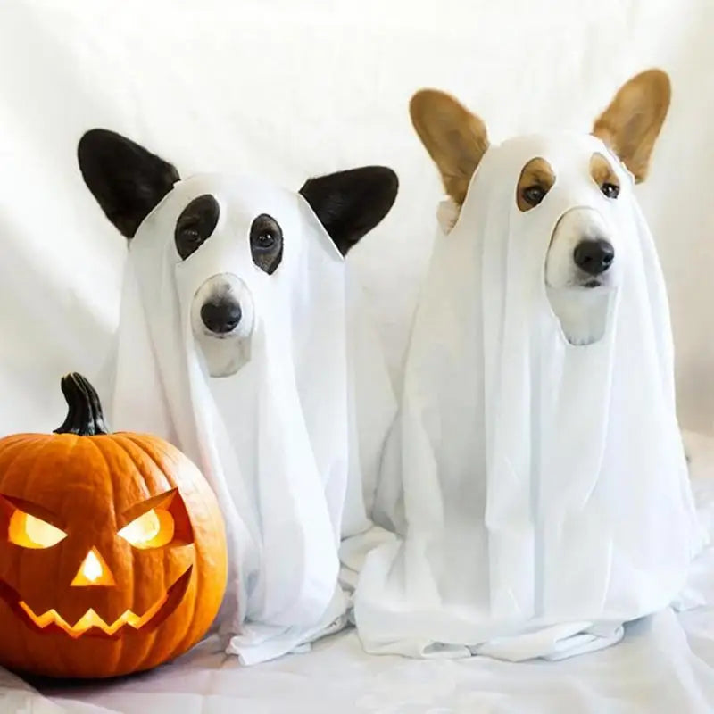 Halloween Dog Ghost Costume – Soft Polyester Cloak for Pets, Perfect for Outdoor Walks and Photo Props 0