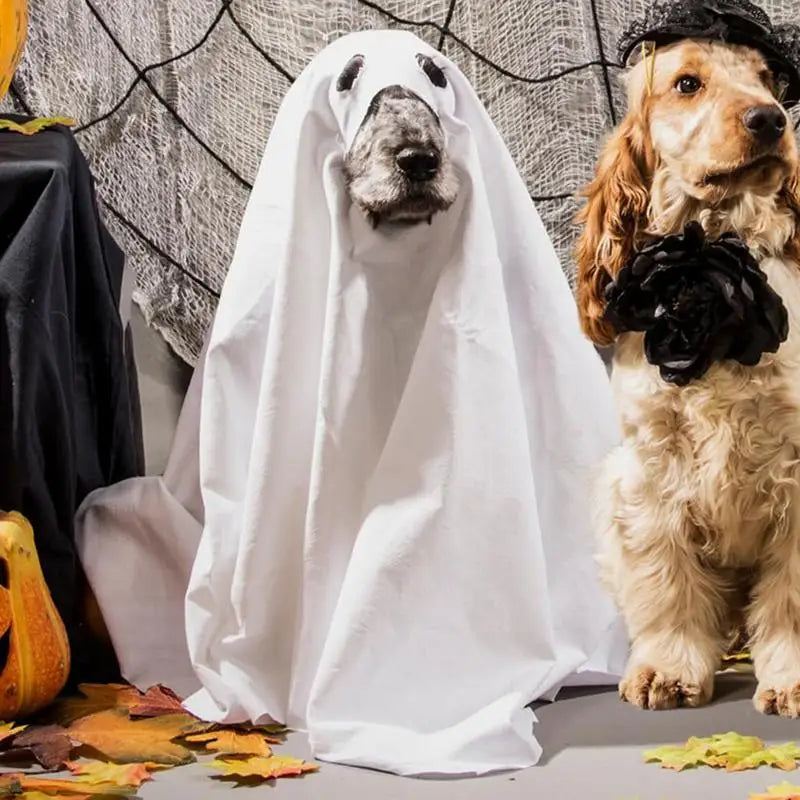 Halloween Dog Ghost Costume – Soft Polyester Cloak for Pets, Perfect for Outdoor Walks and Photo Props 3