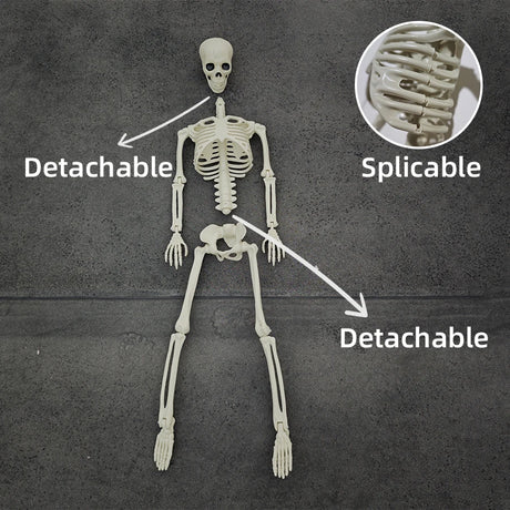 Life-Size Movable Skeleton Decoration – 90CM Halloween Skeleton for Spooky Parties and Decor 2