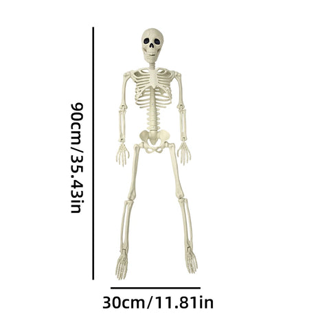 Life-Size Movable Skeleton Decoration – 90CM Halloween Skeleton for Spooky Parties and Decor 5