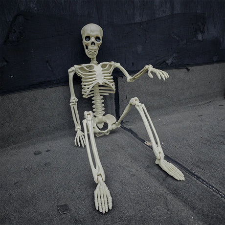 Life-Size Movable Skeleton Decoration – 90CM Halloween Skeleton for Spooky Parties and Decor 6