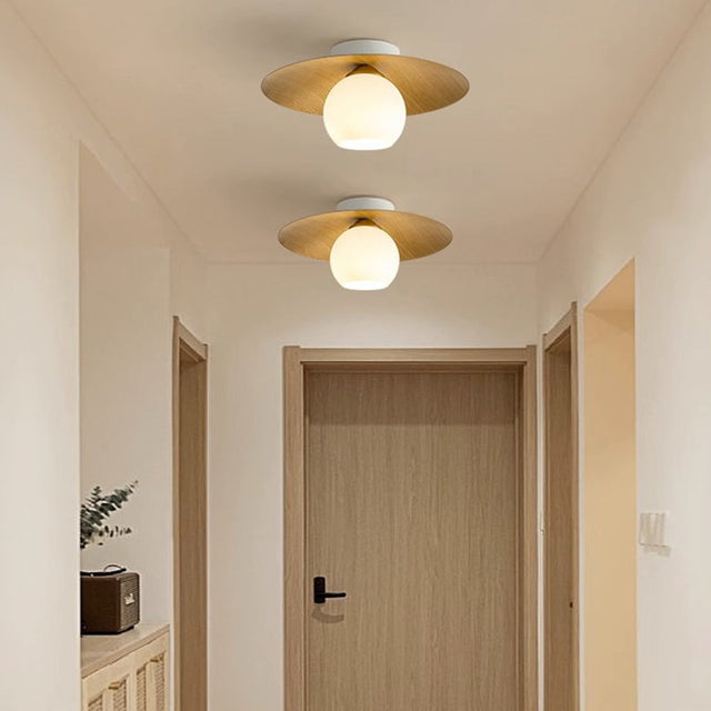 Modern Halway Ceiling Lights 3