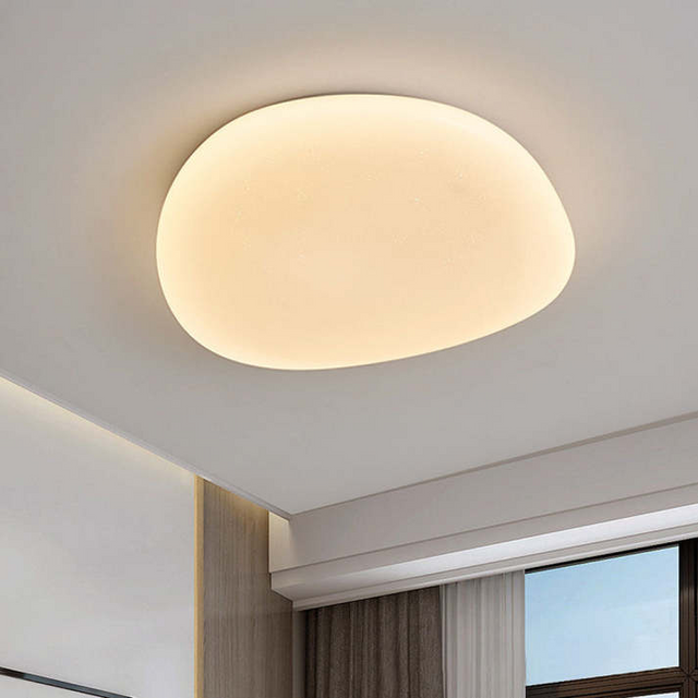 Flush Mount Ceiling Light