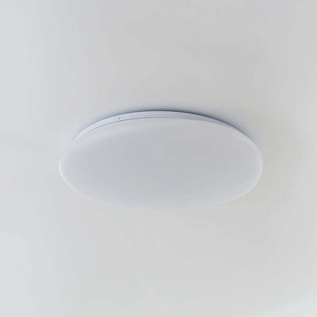 Flush Mount Ceiling Light