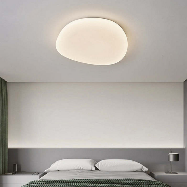 Flush Mount Ceiling Light