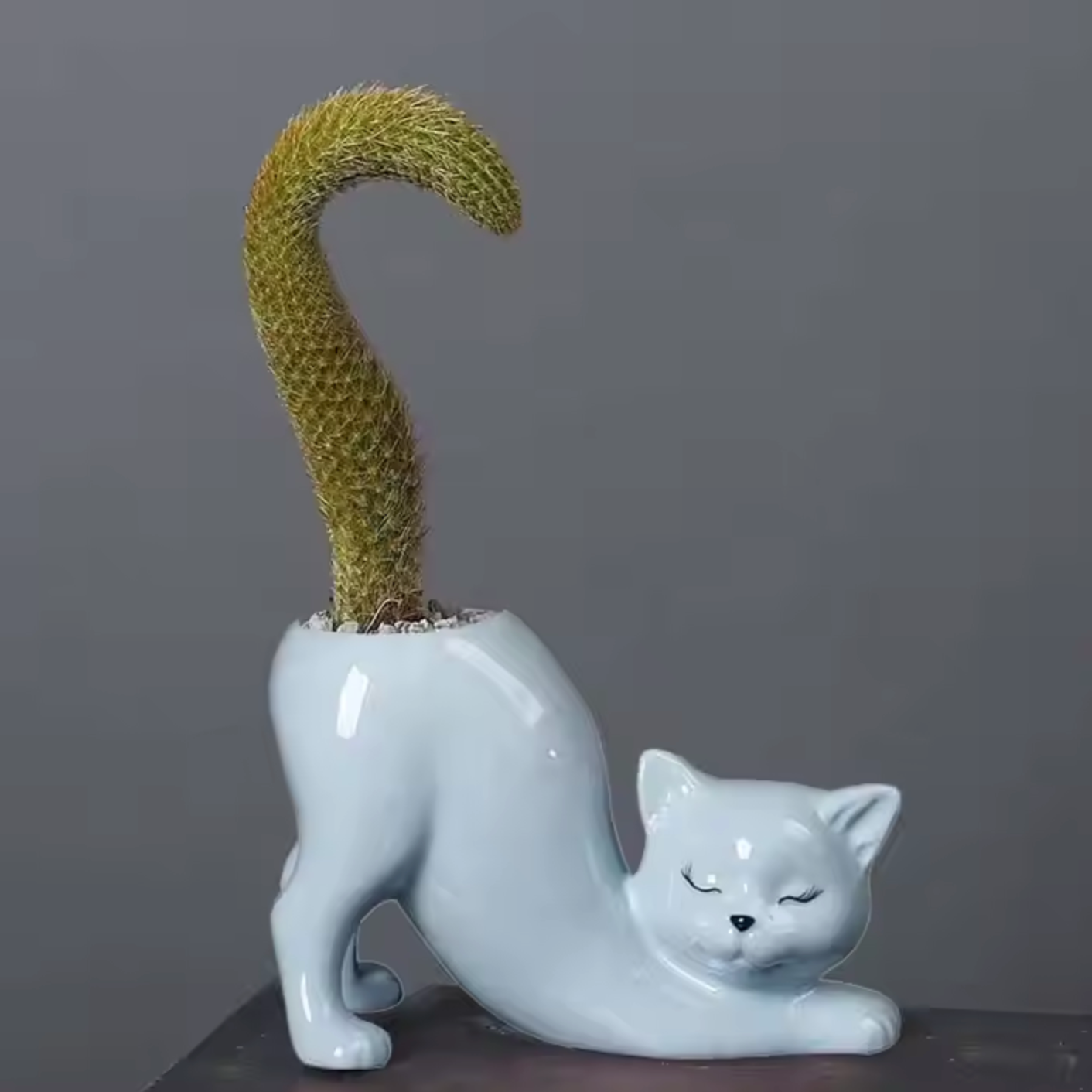 Cute Cat Flower Pot - Glazed Porcelain Succulent Planter