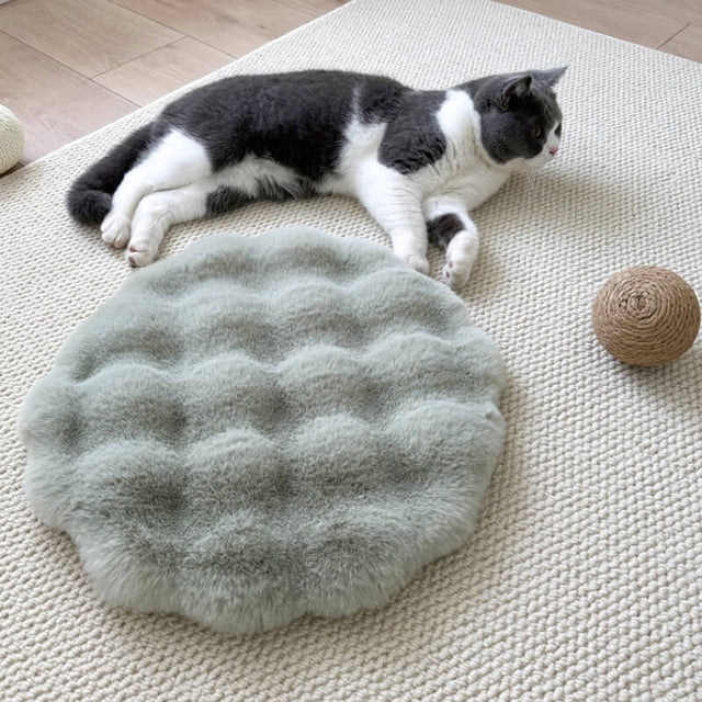 Soft Plush Warm Pet Sleeping Pad Cozy Stylish Easy to Maintain