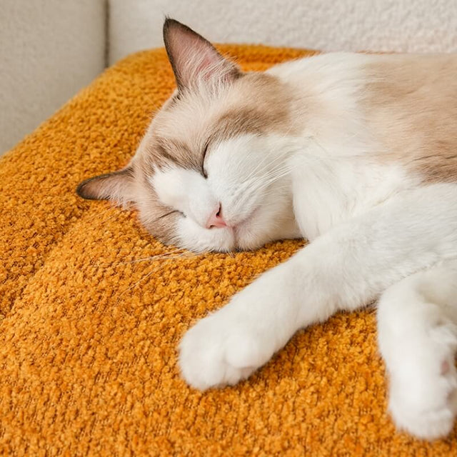 Warm Plush Non-Slip Pet Mat Soft Cozy Versatile Sizes