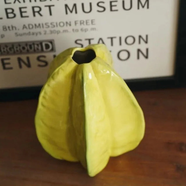Ceramic Star Fruit Flower Vase Unique Decorative Pot