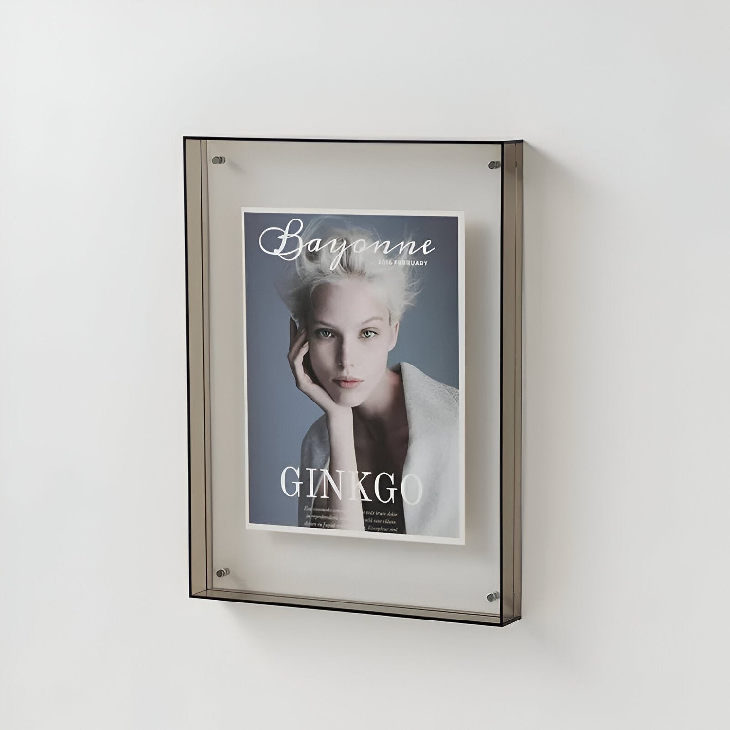 Coloured Transparent Acrylic Picture Frame for Modern Displays