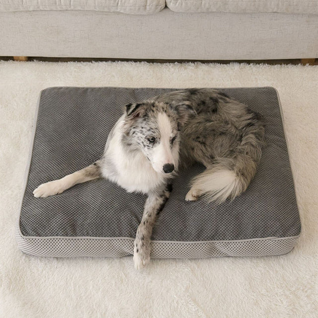 Premium Orthopedic Dog Bed Breathable Supportive Easy to Clean