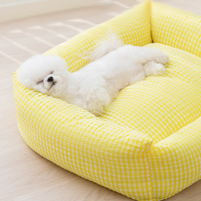 Cozy Bolstered Dog Bed with Removable Cover Polyester