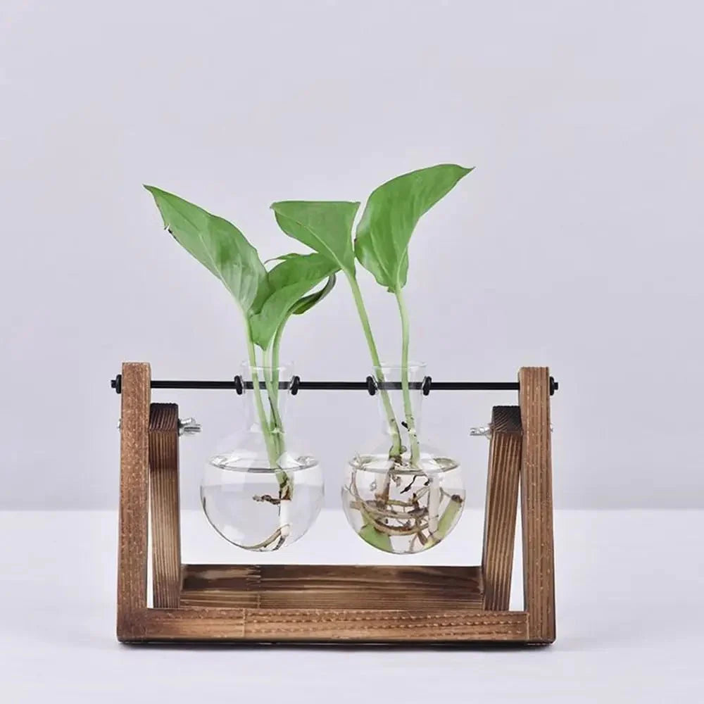 Hydroponic Glass Terrarium Tabletop Trays with Wooden Frame