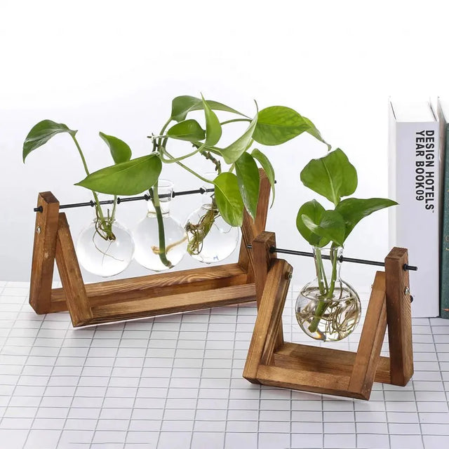 Hydroponic Glass Terrarium Tabletop Trays with Wooden Frame