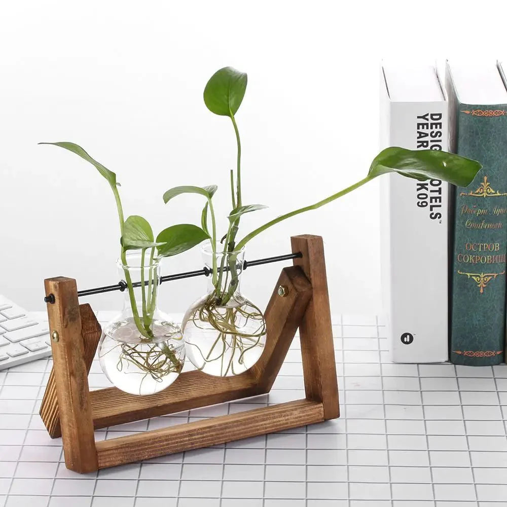 Hydroponic Glass Terrarium Tabletop Trays with Wooden Frame