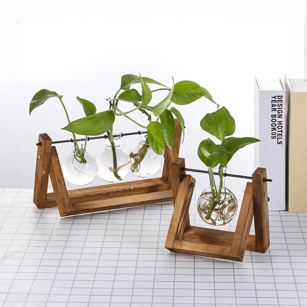 Hydroponic Glass Terrarium Tabletop Trays with Wooden Frame