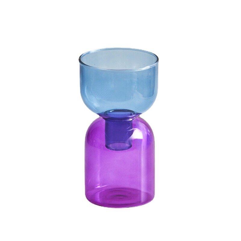 Two Piece Mini Bud Vase Terrarium Set - Glass Modern Design