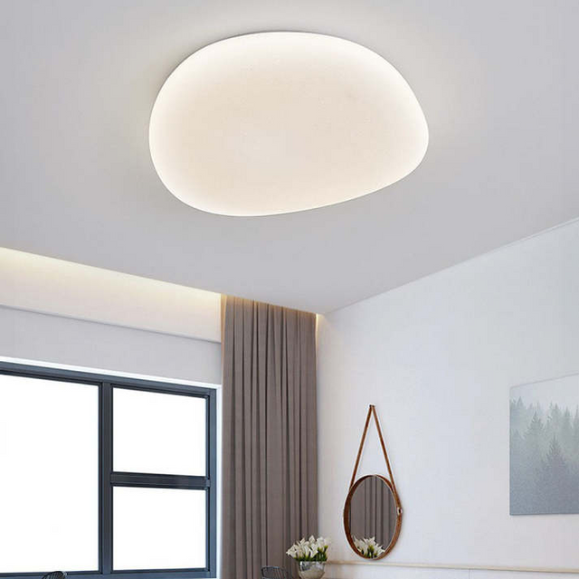 Flush Mount Ceiling Light