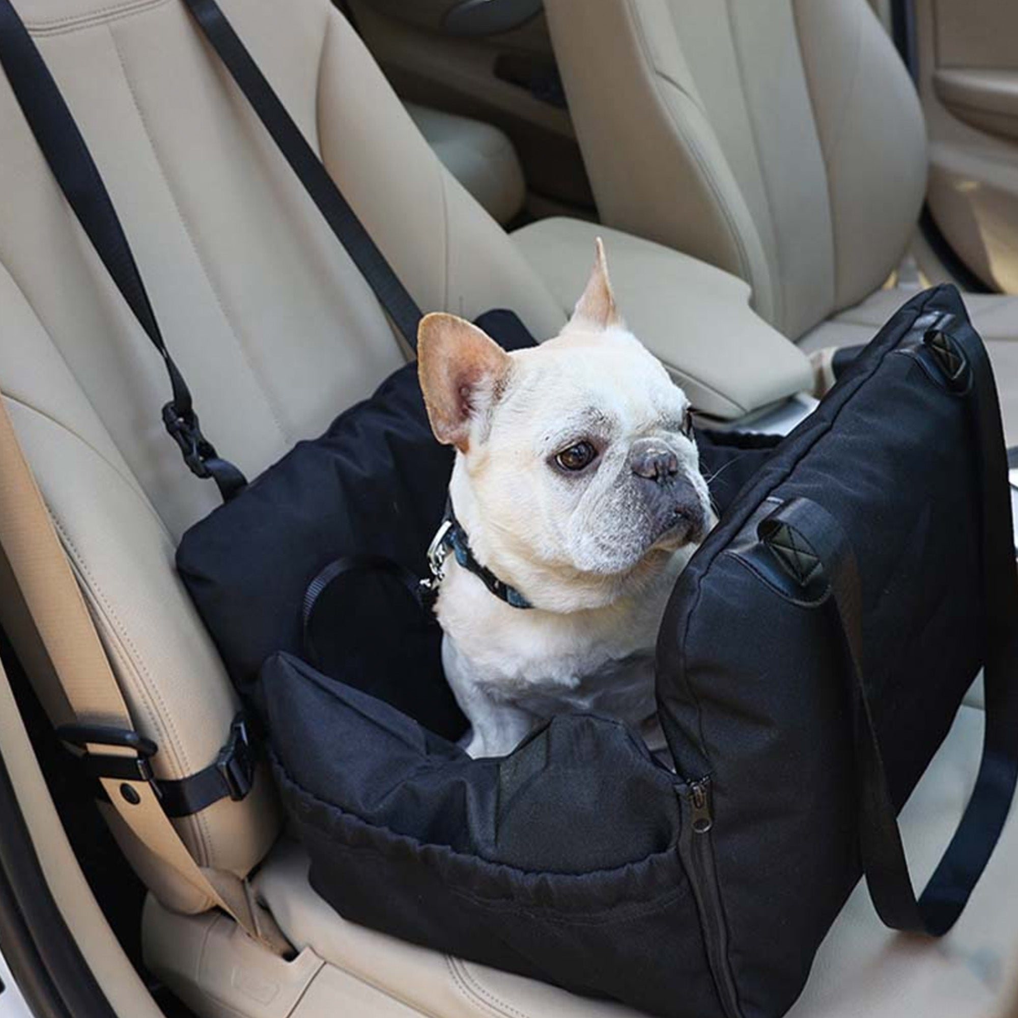 Multifunctional Pet Car Seat – 3-in-1 Carrier, Sofa, and Travel Bed
